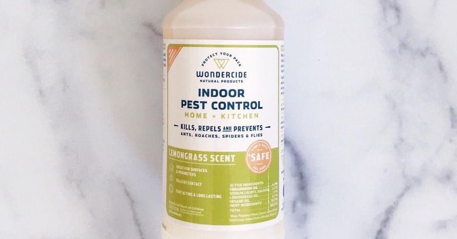 Natural Indoor Pest Control Spray Peppermint