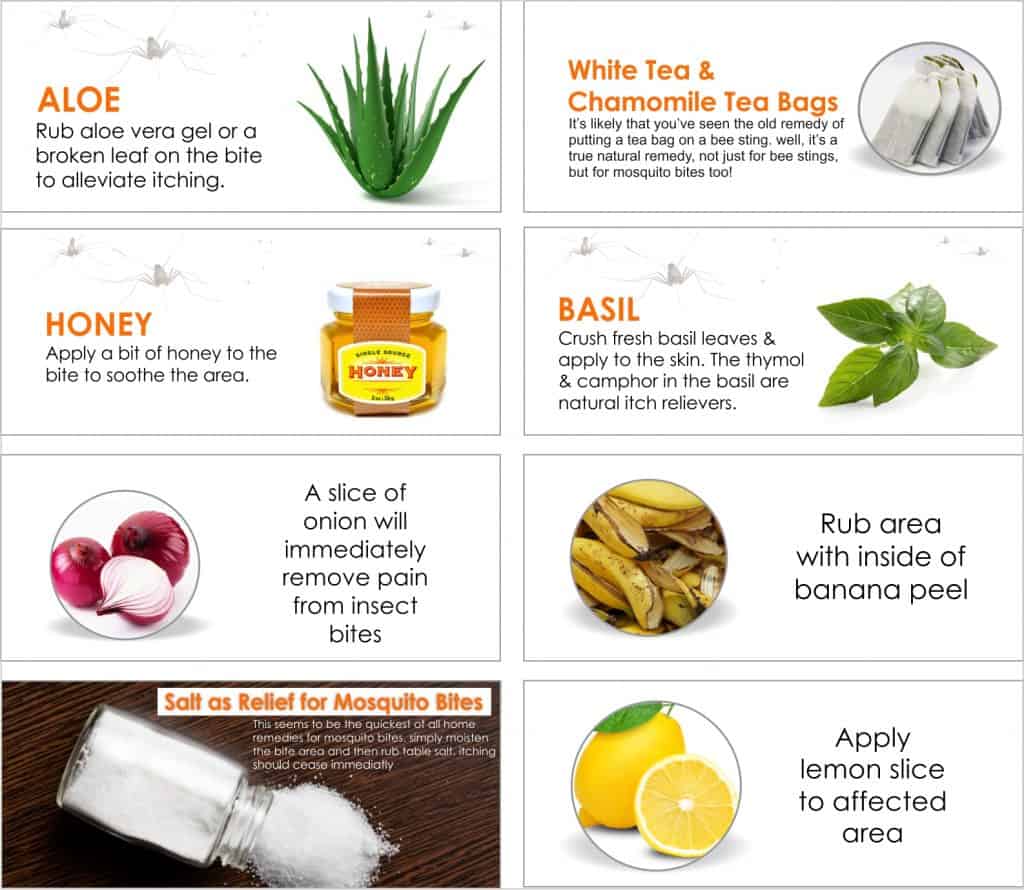 Natural Remedies for Mosquito Bites and Dengue Prevention 1024x890