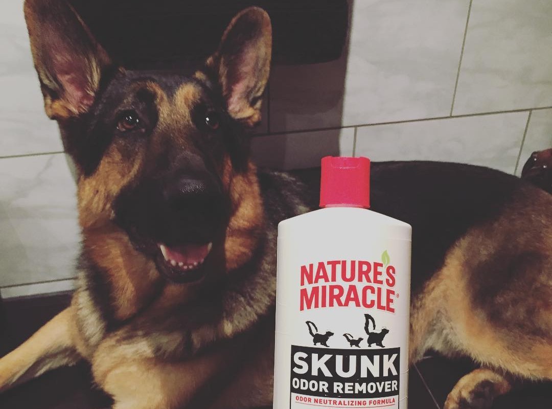 Nature’s Miracle Skunk Odor Remover 32 Ounces