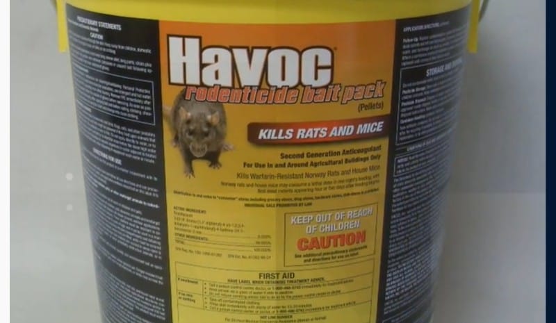 Neogen Havoc Rodenticide Rat & Mouse Bait