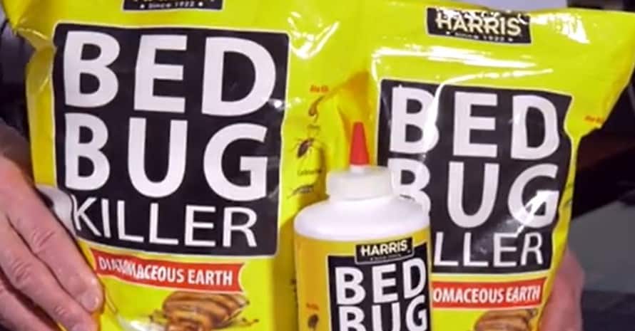 Organic Bed Bug Powder HARRIS Bed Bug Killer