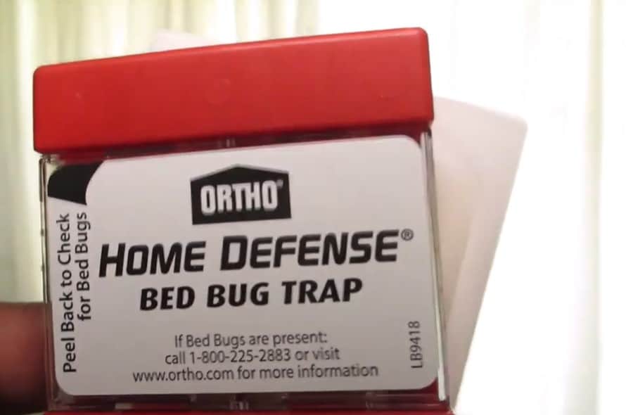 BuggyBed and Expel Bed Bug Trap Review and Comparison - Dengarden