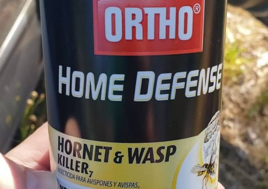 Ortho Home Defense Hornet & Wasp Killer 