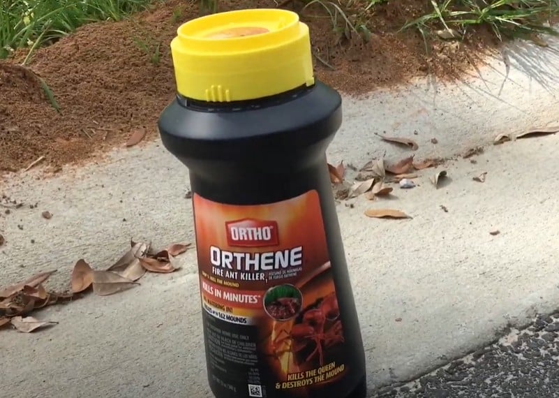 best fire ant killer for lawns