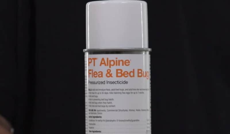 PT Alpine Flea & Bed Bug