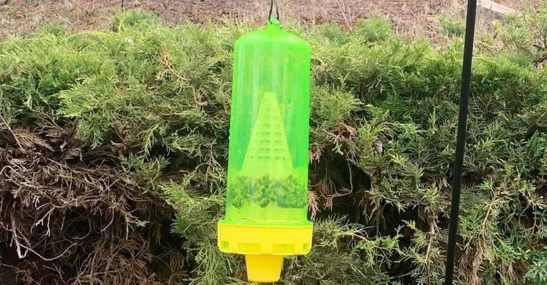 RESCUE Reusable Yellowjacket Trap – Includes Attractant 2048x1070 