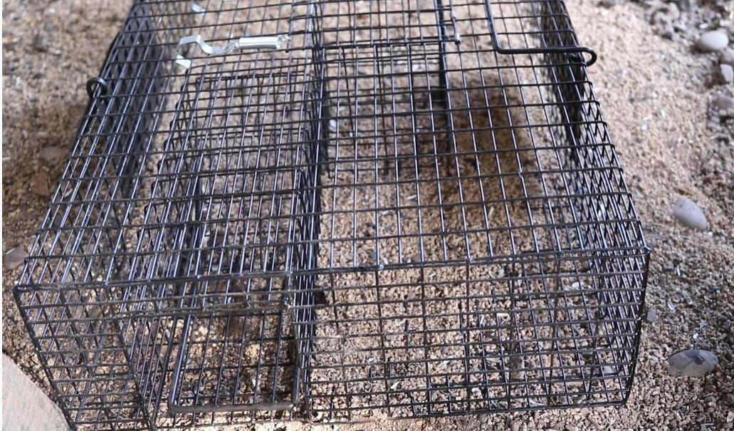 RUGGED RANCH RATTR The Ratinator Multiple Catch Live Rat Trap 