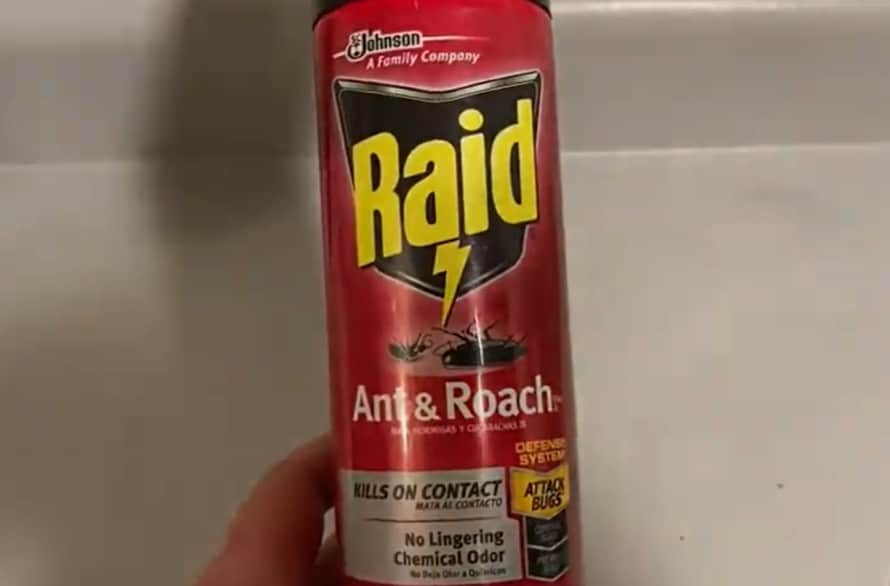 Raid Ant and Roach Killer Outdoor Fresh