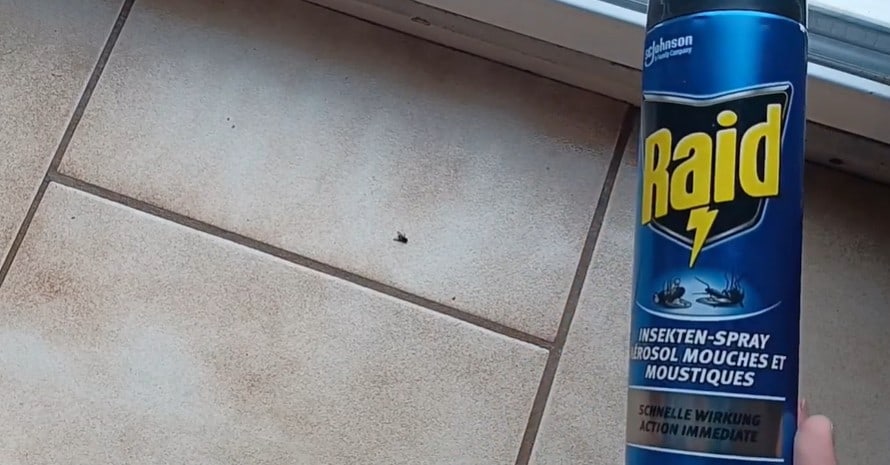Raid Flying Insect Killer Lawn and Garden