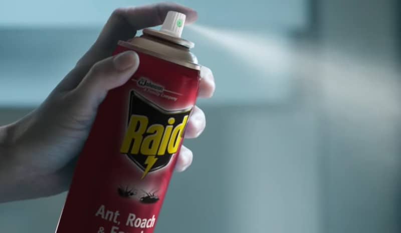  Raid Max Ant & Roach