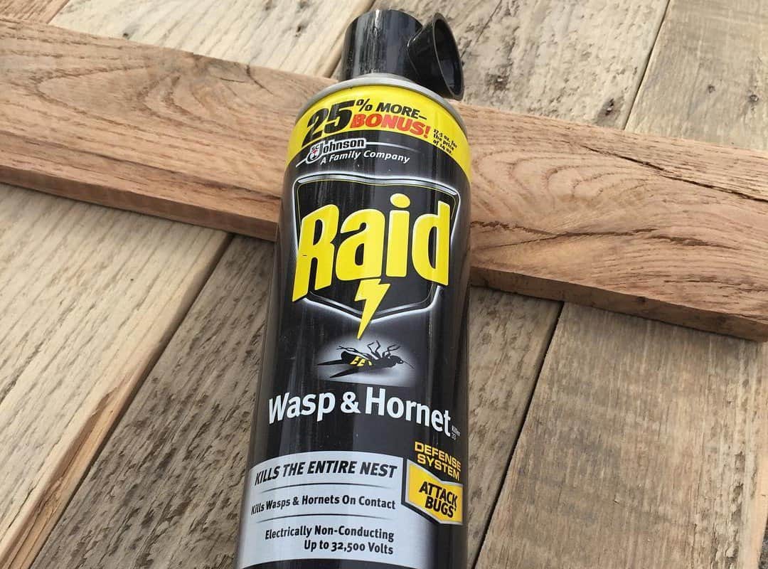 Raid Wasp & Hornet Killer Spray