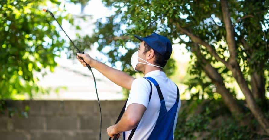 Rear view of pest control worker