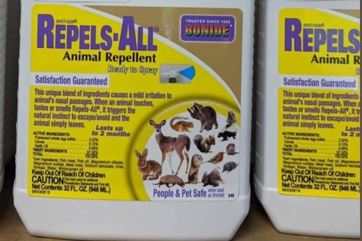 6 Best Chipmunk Repellents in 2023 [Detailed Reviews]