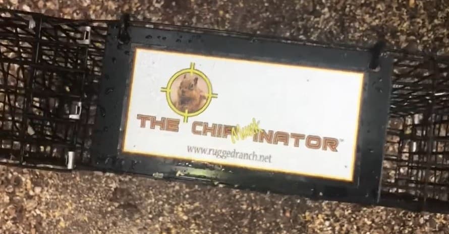 Rugged Ranch The Chipmunkinator Live Chipmunk Trap