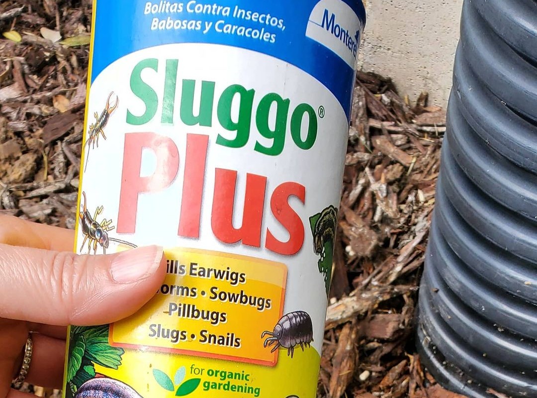 Sluggo Plus Wildlife and Pet Safe Slug Killer