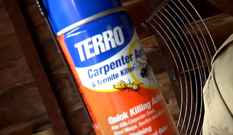 TERRO Carpenter Ant and Termite Killer