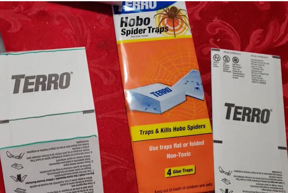 TERRO Non-Toxic Indoor Spider