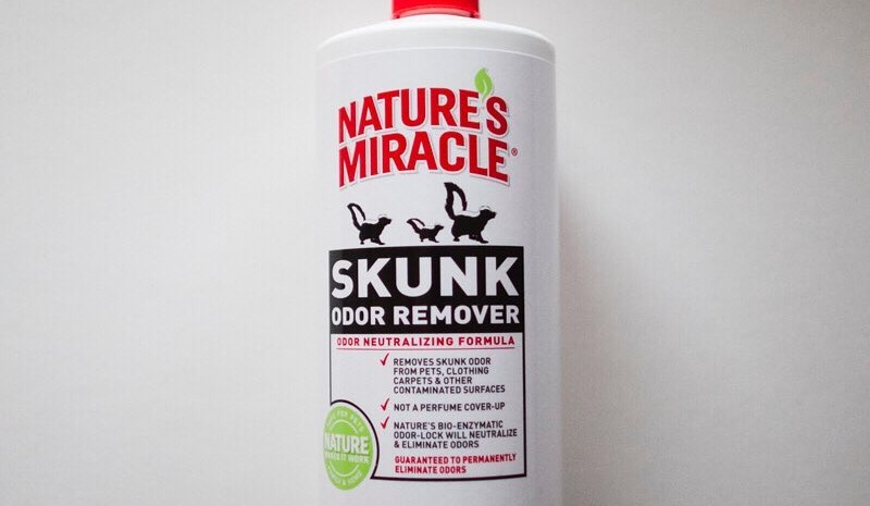 The Best Skunk Smell Removal