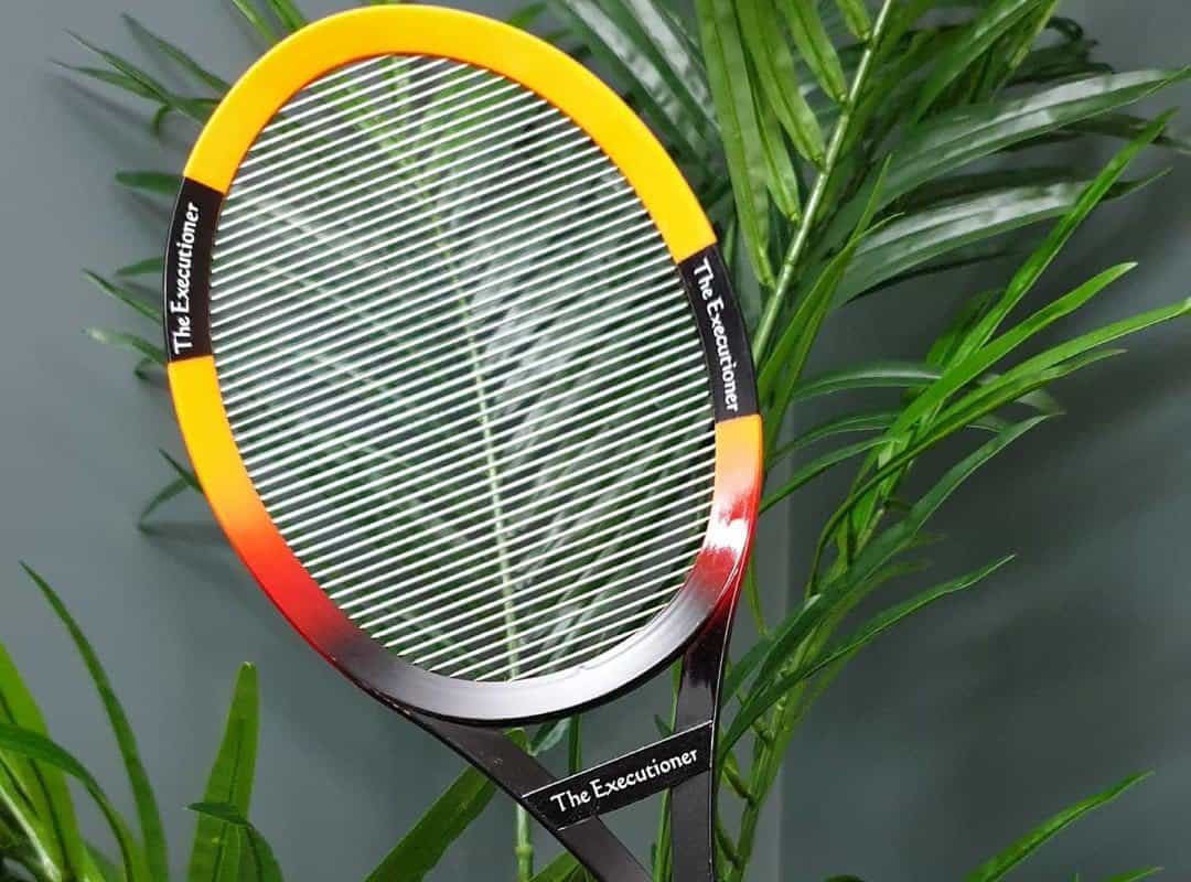 Black + Decker Electric Fly Swatter, Large Handheld Indoor & Outdoor  Mosquito & Bug Zapper with Battery-Powered Mesh Grid & Heavy-Duty Tennis  Racket Design