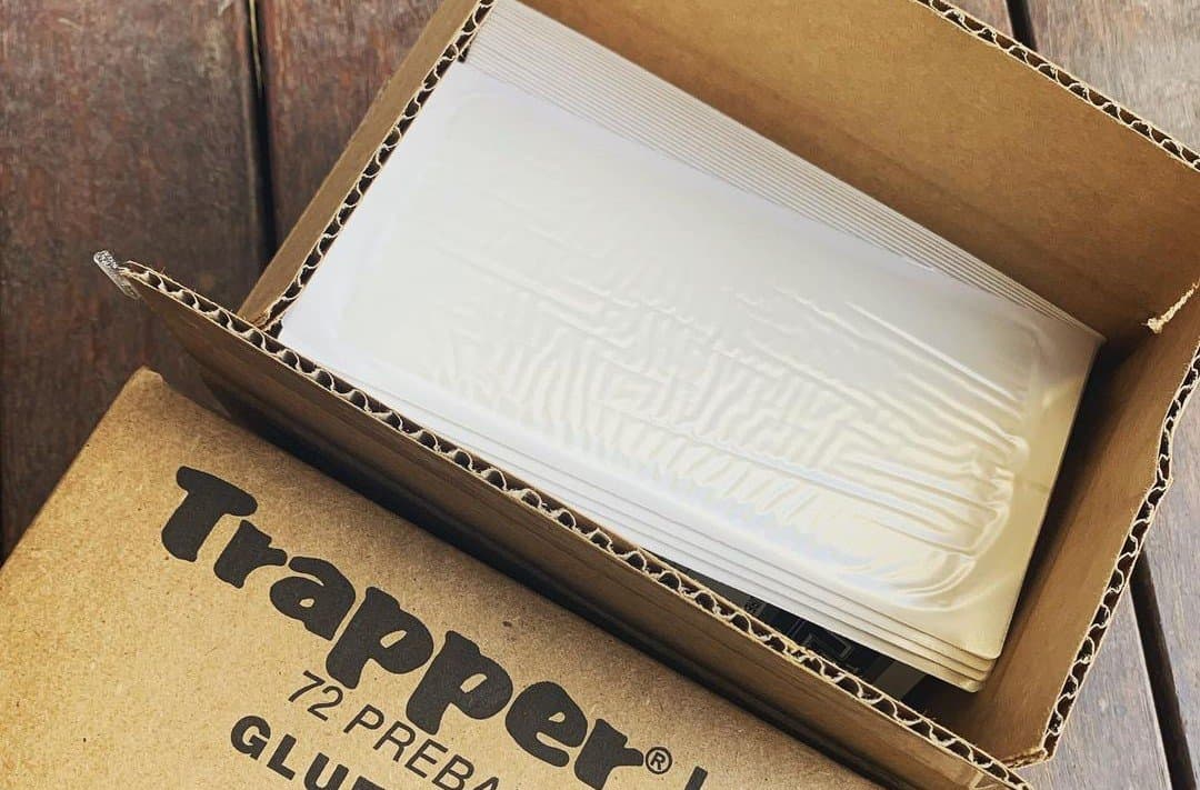 Trapper Insect Trap