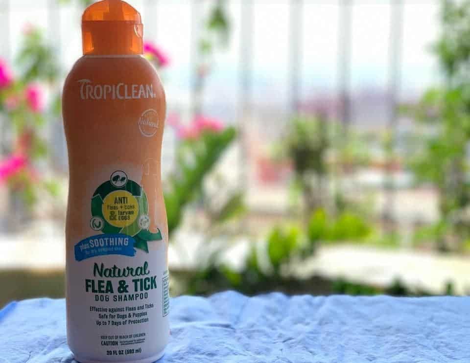 TropiClean Natural Flea & Tick Soothing Shampoo for Dogs