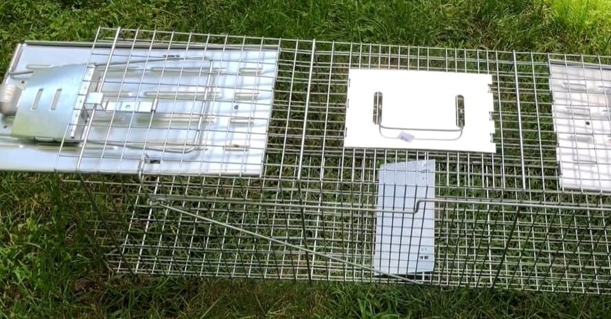 Two-Door Humane Possum Trap