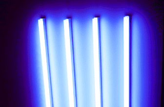 UV Light Kill Bed Bugs