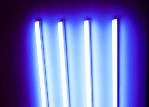 Does UV Light Kill Bed Bugs: Is That Actually Effective