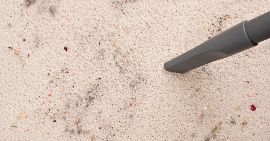 Vacuuming dirty carpet