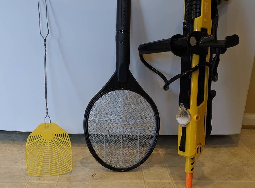 What Are Differences Between Racket Zappers and Lanterns