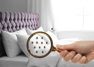 Woman with magnifying glass detecting bed bugs in bedroom