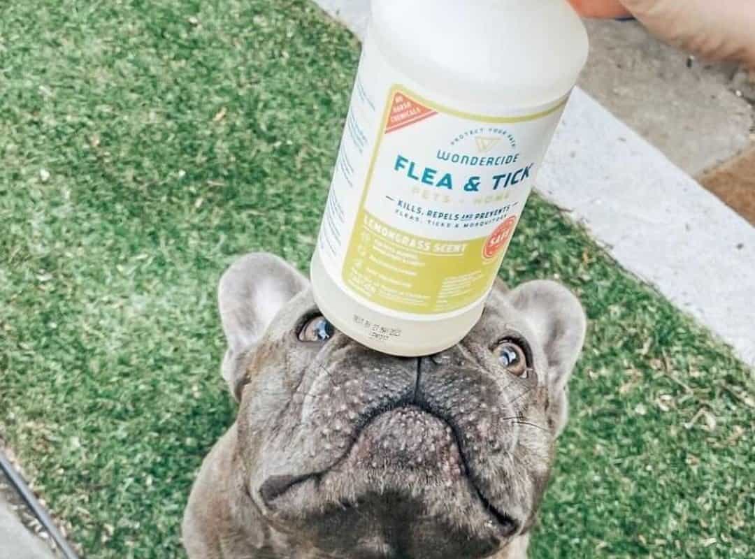 Wondercide Flea, Tick and Mosquito Spray for Dogs, Cats, and Home