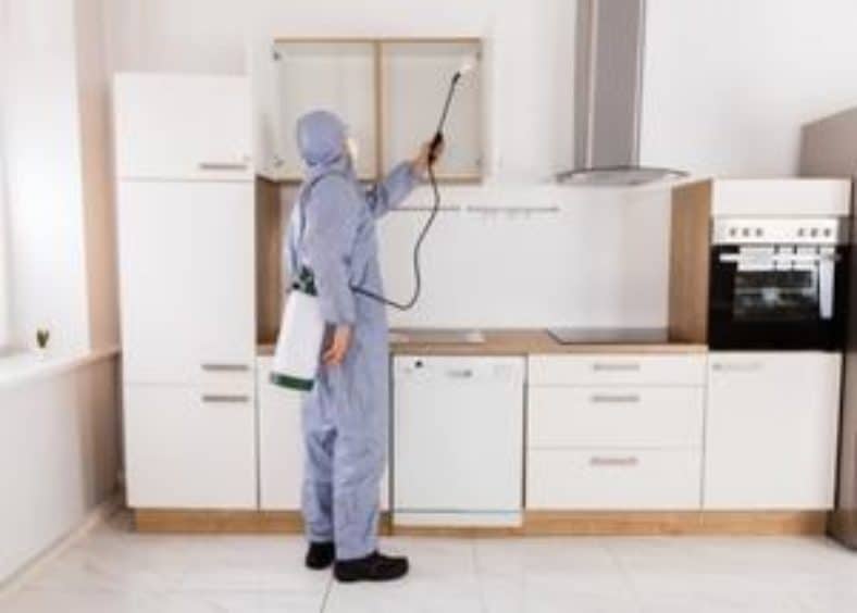 Worker Spraying Pesticide On Shelf