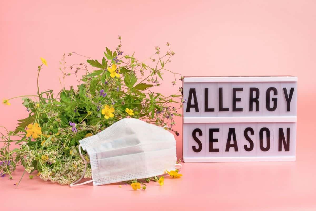 allergy season warning