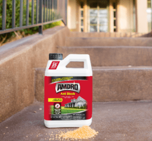 AMDRO Ant Bait Review: Does It Work & How to Use It