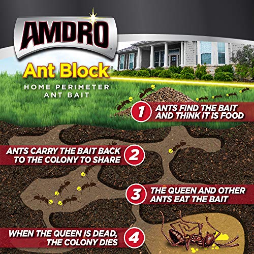 how the amdro ant bait works infographic