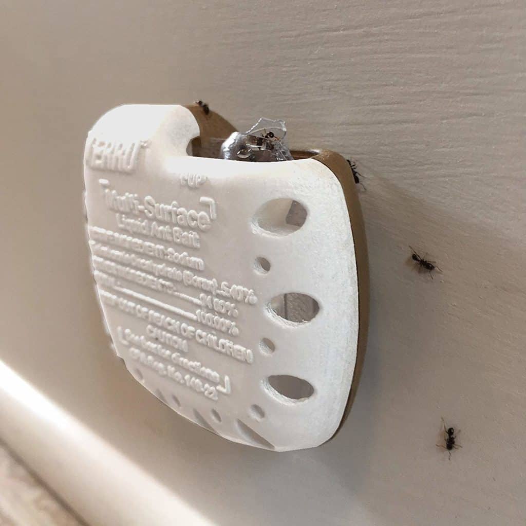 ant trap on the wall with ants inside it