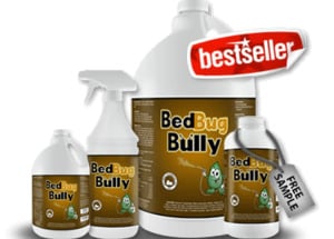 bed bug bully