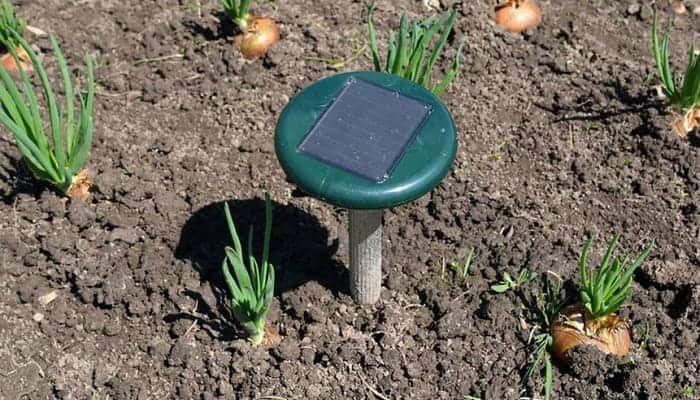 best solar ultrasonic pest repeller