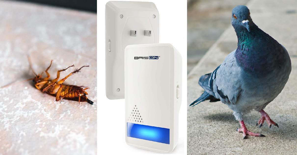 8 Best Ultrasonic Pest Repellers Reviewed by Expert (2020 ...