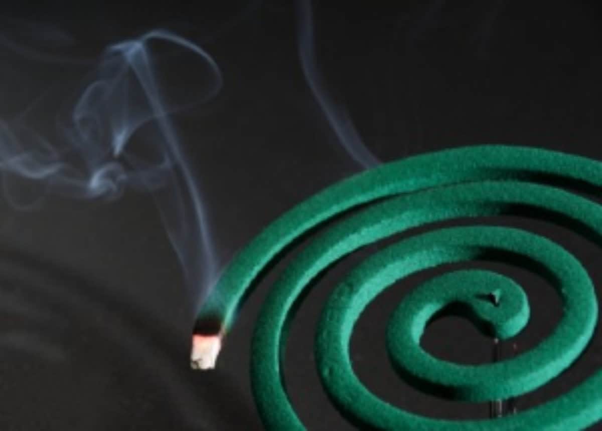 10PCS Mosquito Protector Coil Micro Smoke  Outdoor Indoor Night