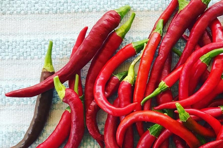 cayenne pepper red