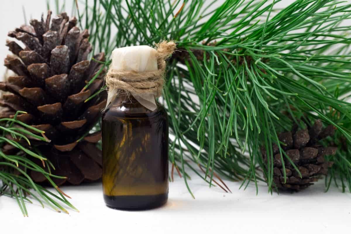 cedar wood oil