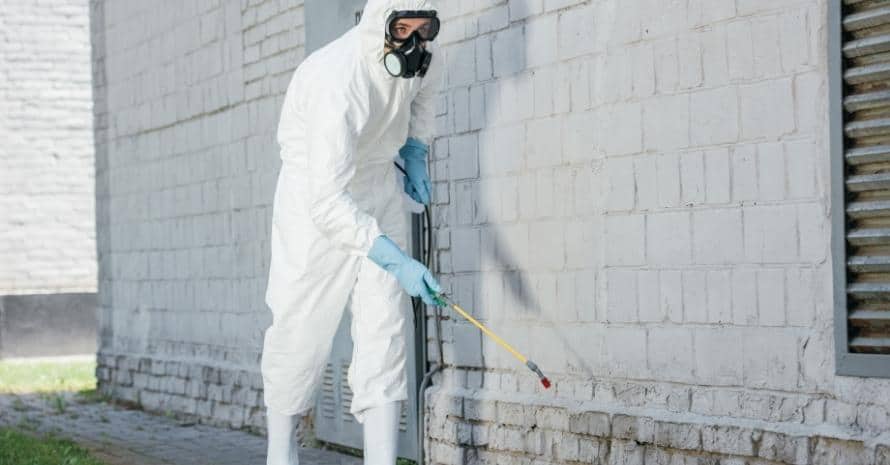 chemicals with sprayer on building wall