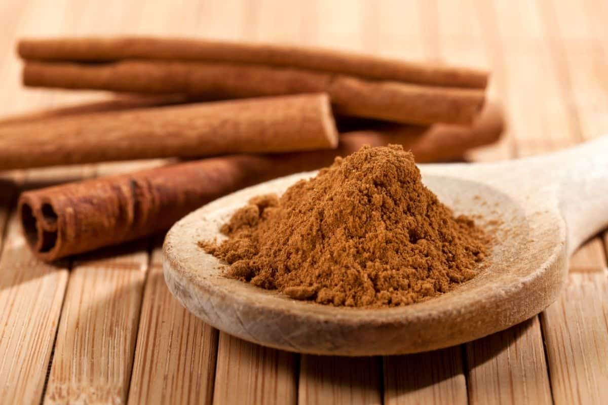 cinnamon in spoon