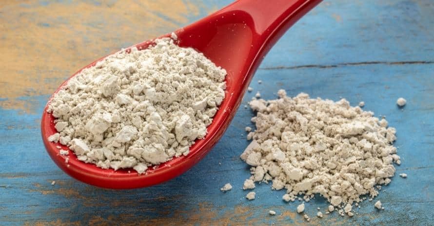 diatomaceous earth food supplement