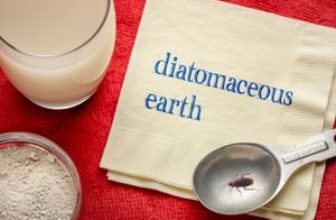 diatomaceous earth with cockroach