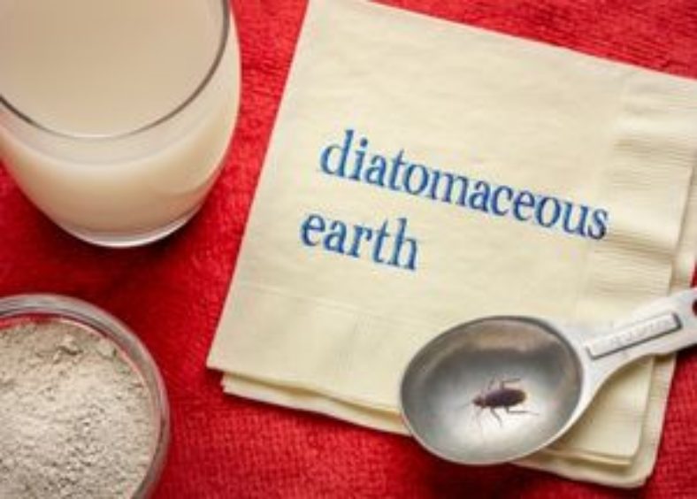 diatomaceous earth with cockroach