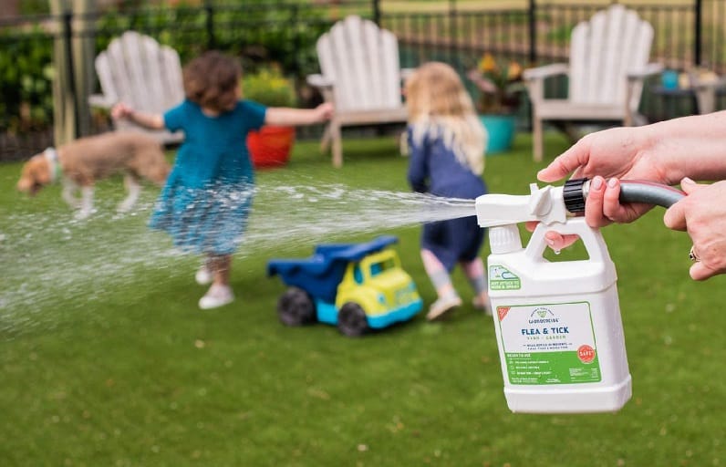 person using a flea killer on the lawn