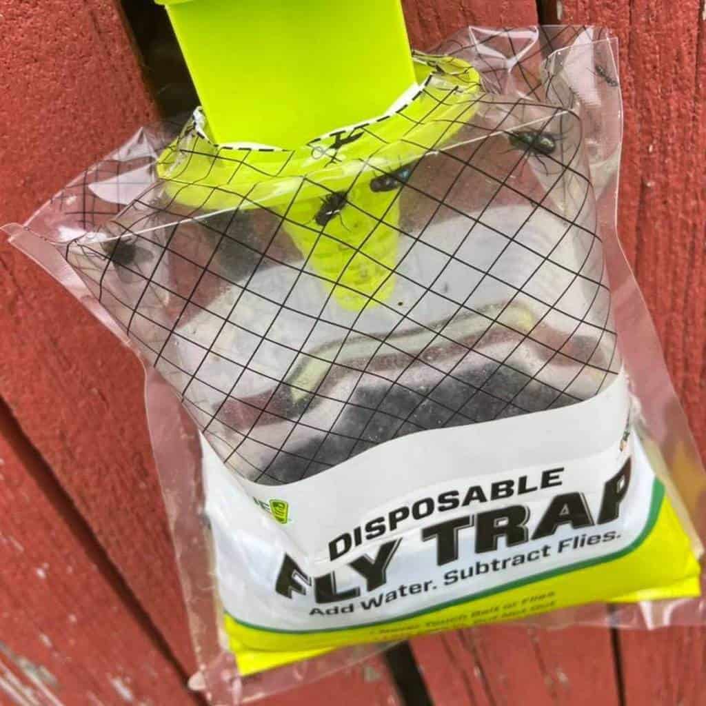 outdoor fly trap
